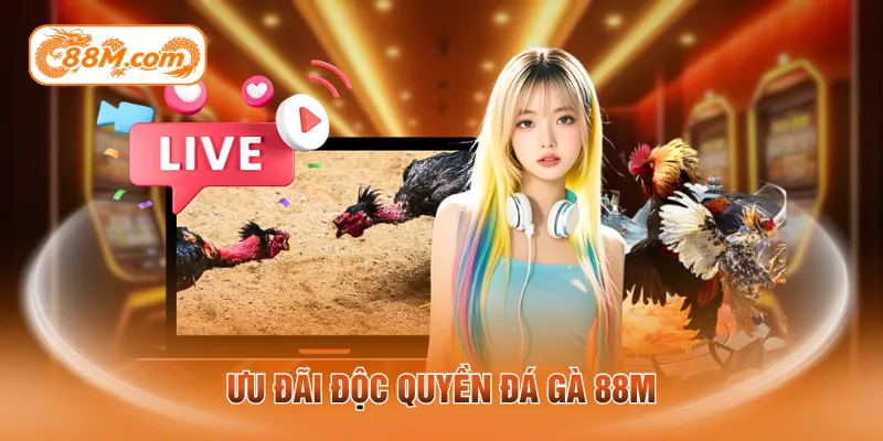 Ưu đãi độc quyền đá gà 88M